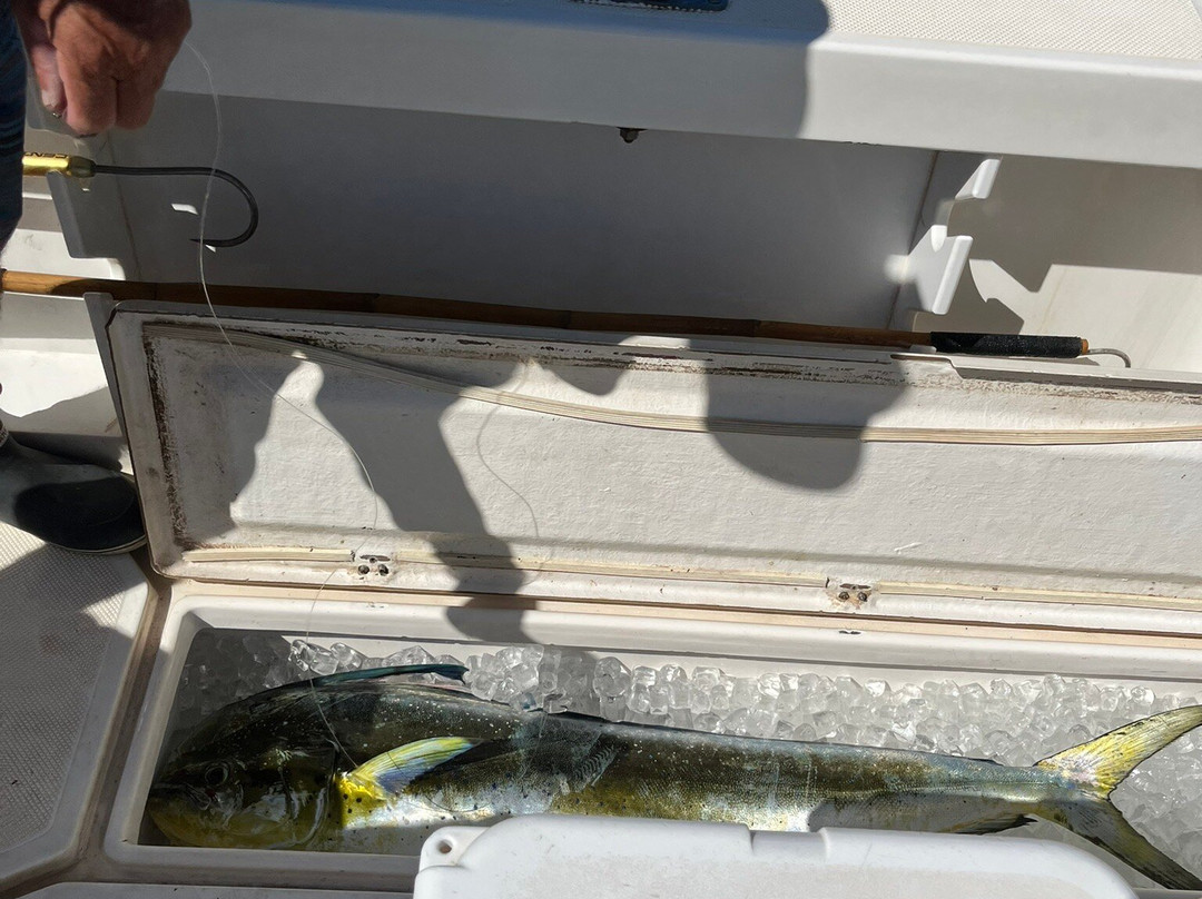 UFO Parasail-卡纳帕利必去景点