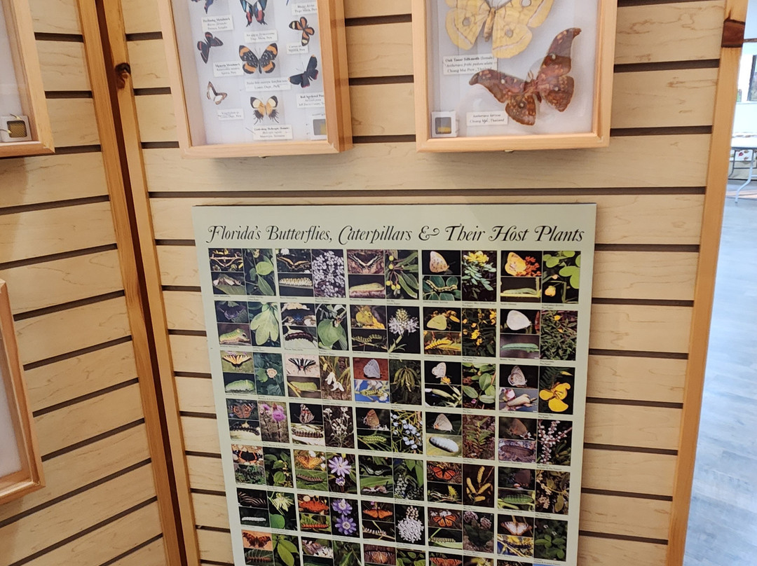 Trout Lake Nature Center景点图片