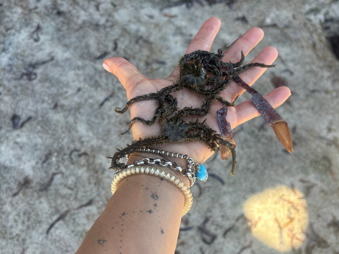 Lutu tours & Safari-瓦塔木必去景点