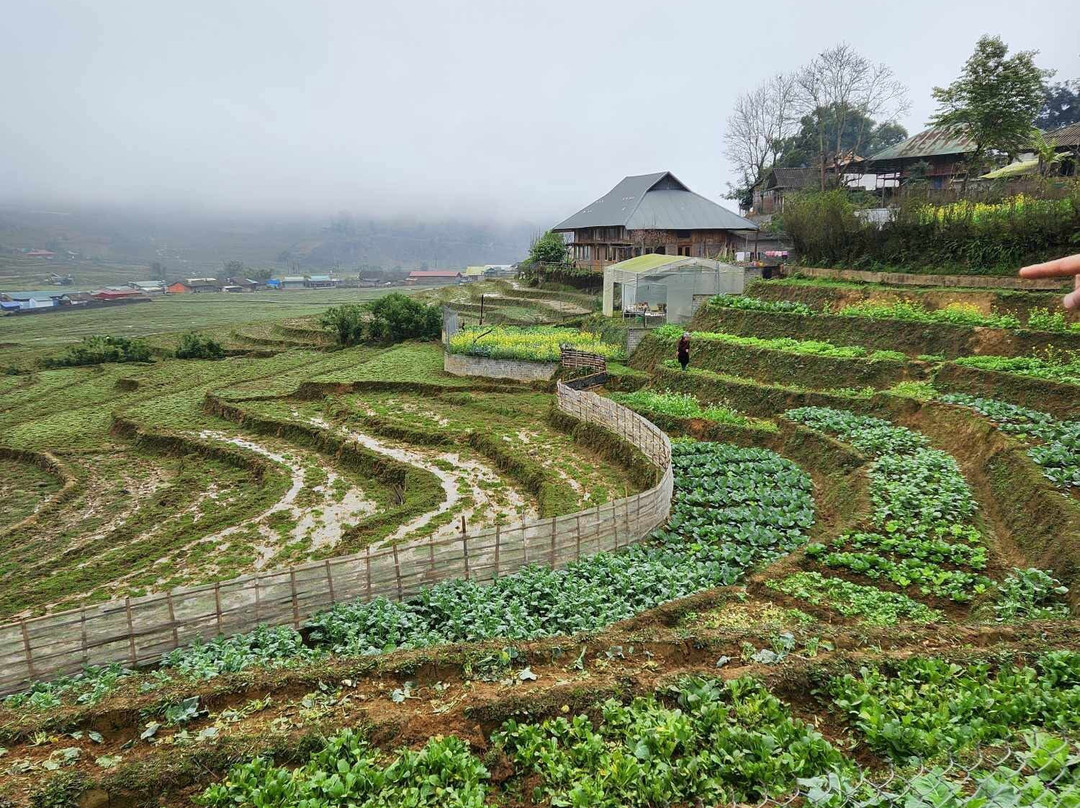 Sapa Tours Vietnam景点图片