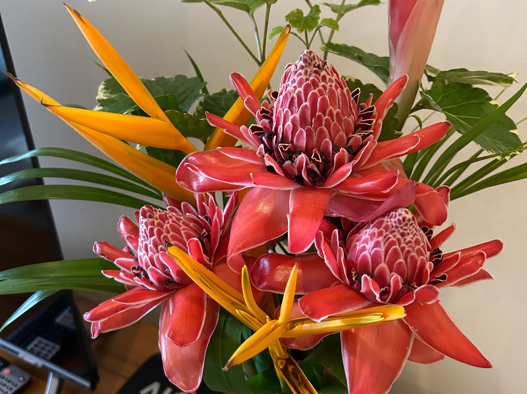 Eden Hills Residence主图