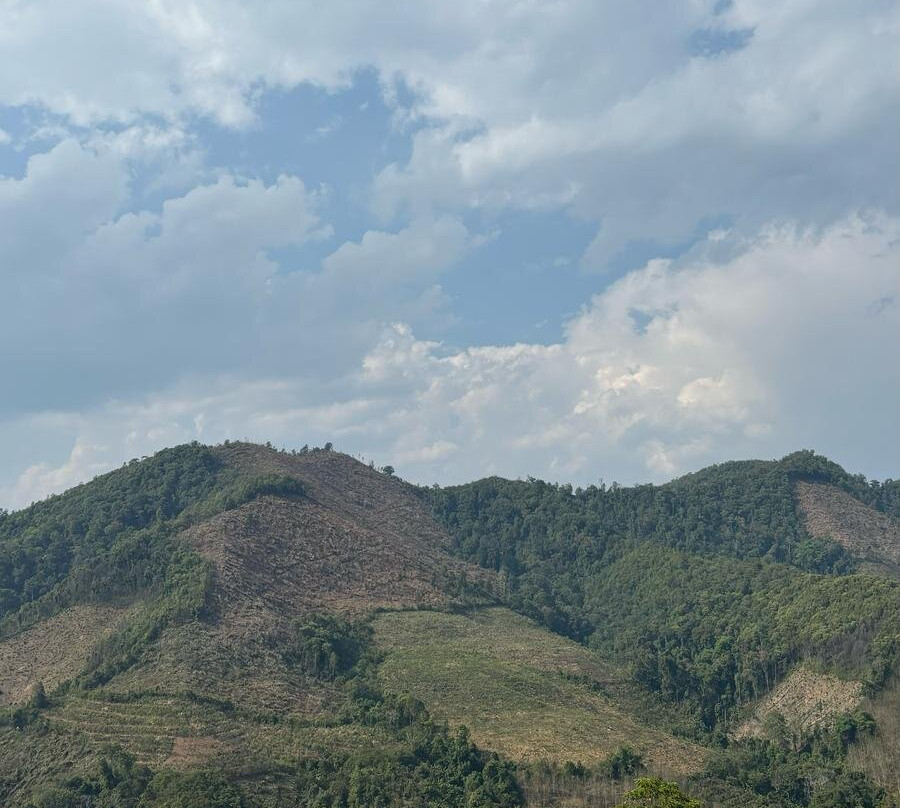 Into the Wild Laos-琅南塔必去景点