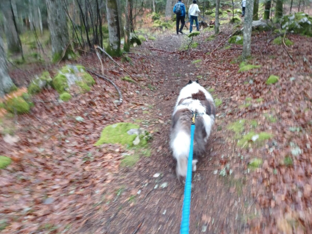 Les Extrapattes-Le Poet-Celard必去景点