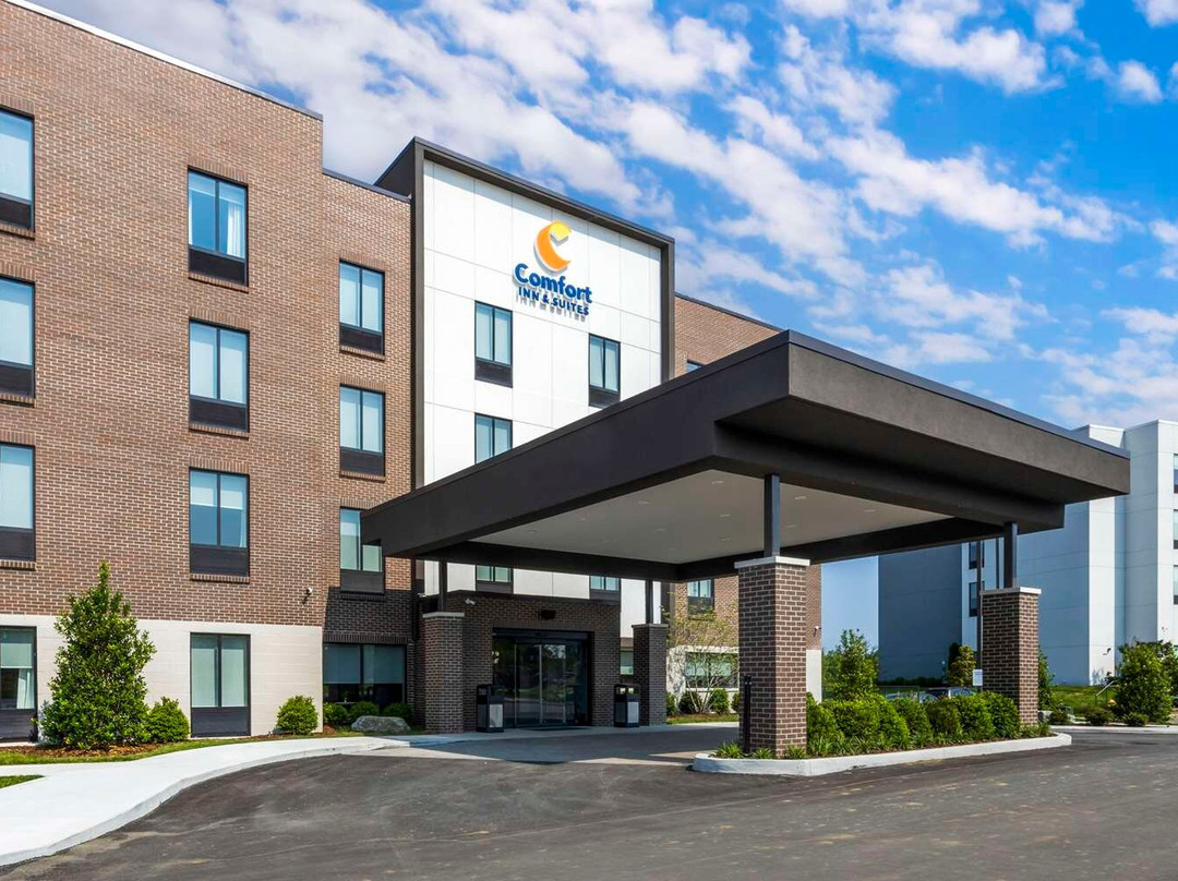 Mount Vernon酒店住宿-Comfort Inn & Suites Gallatin - Nashville Metro