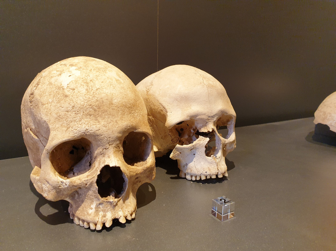 Museum Herxheim景点图片