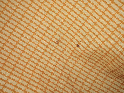 Skyline Motel By Oyo Waynesboro Us 250