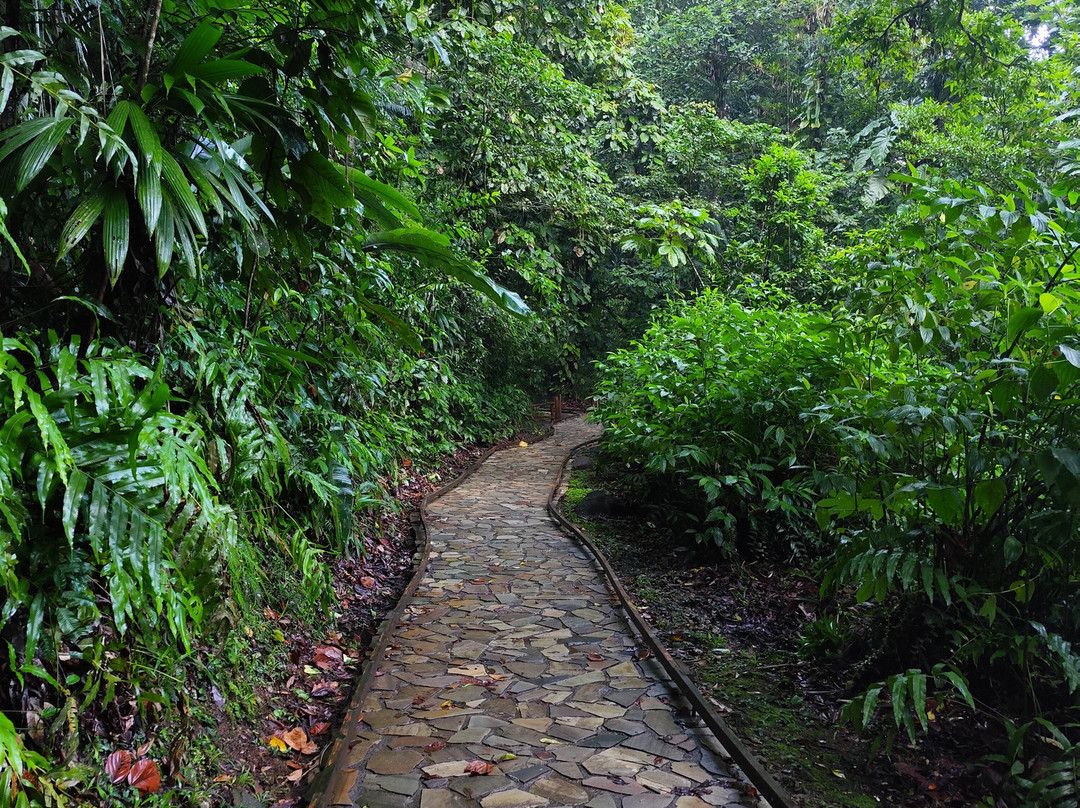 Cascade aux Ecrevisses-Parc National必去景点