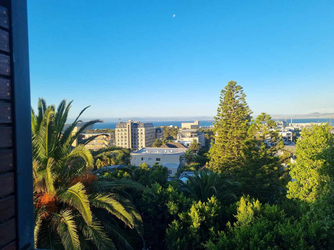 The Tree House Boutique Hotel主图