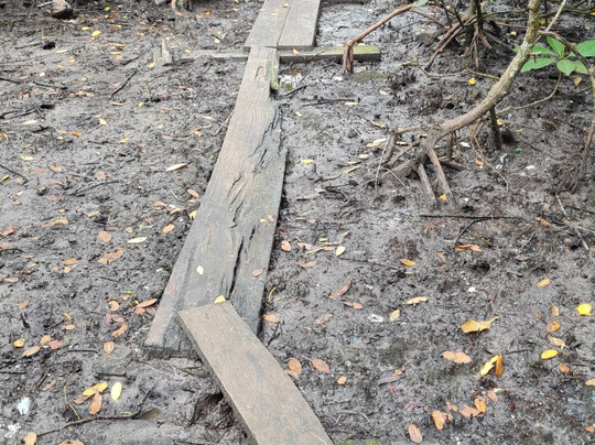 Eclypse De Mar Acqua Lodge主图