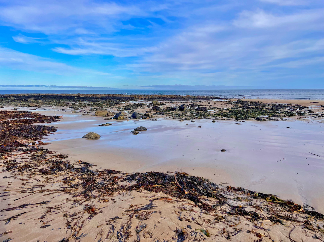 St Combs Beach