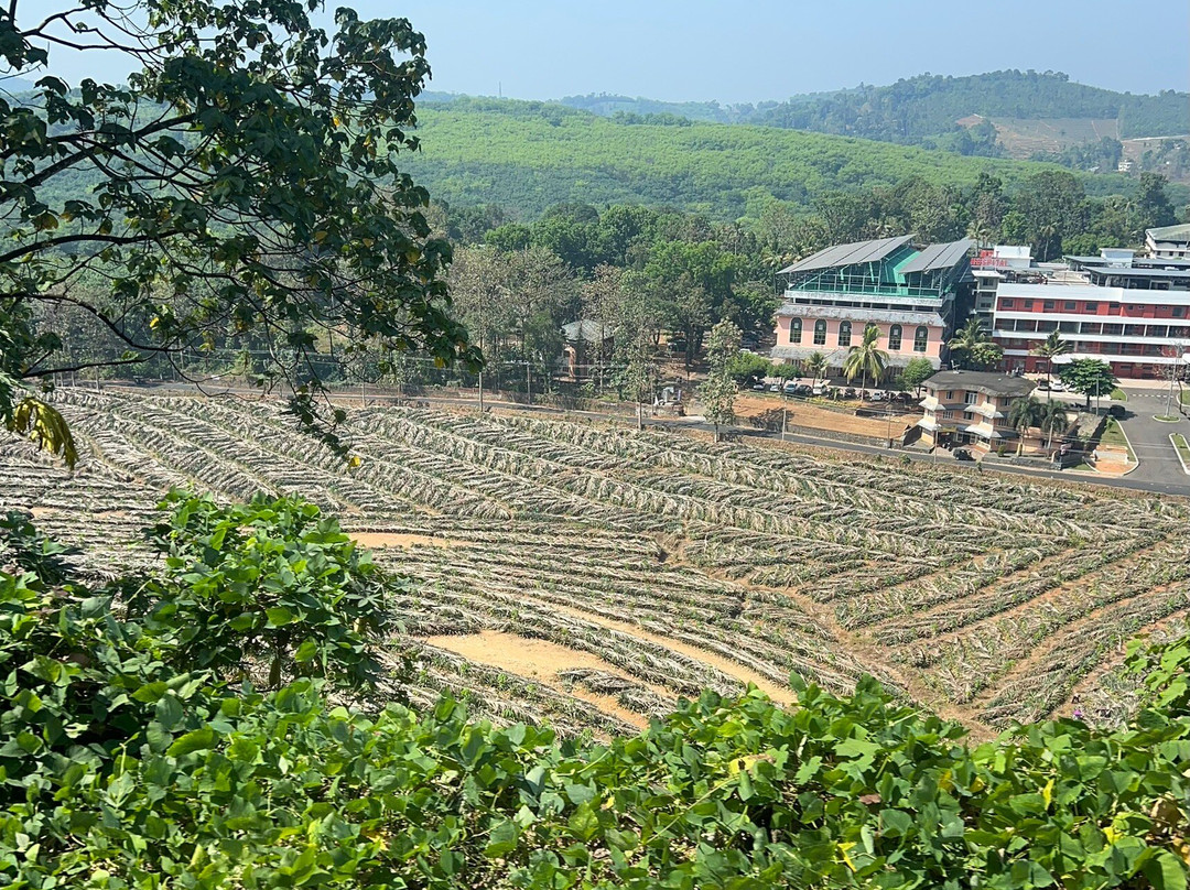The Pattumalai Church-Vagamon必去景点