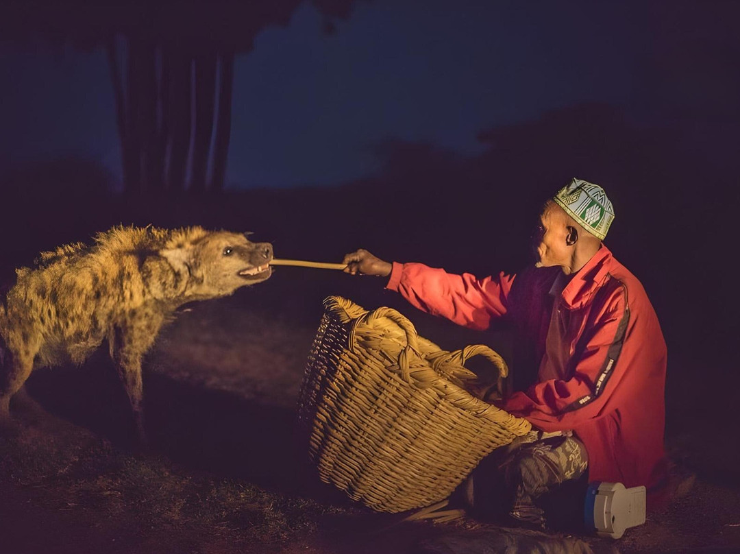 Ethio Travel and Tours景点图片