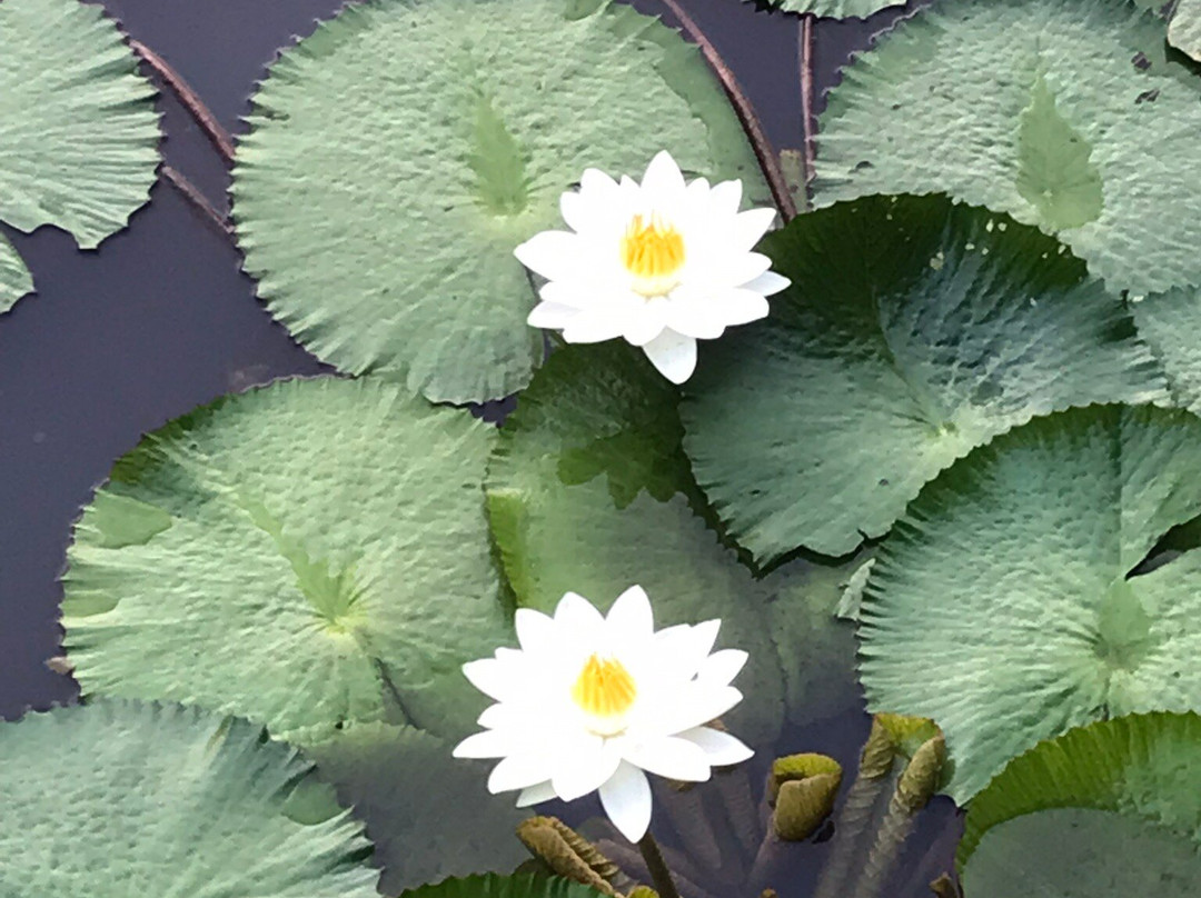 萨卡威度假酒店主图