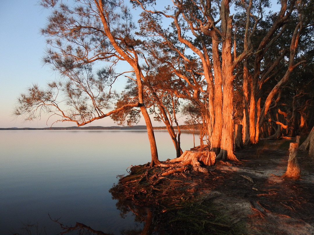 迈奥尔海岸自然度假村主图