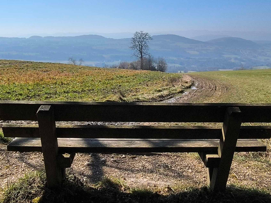 Parcours Santé De Choisy-Choisy必去景点