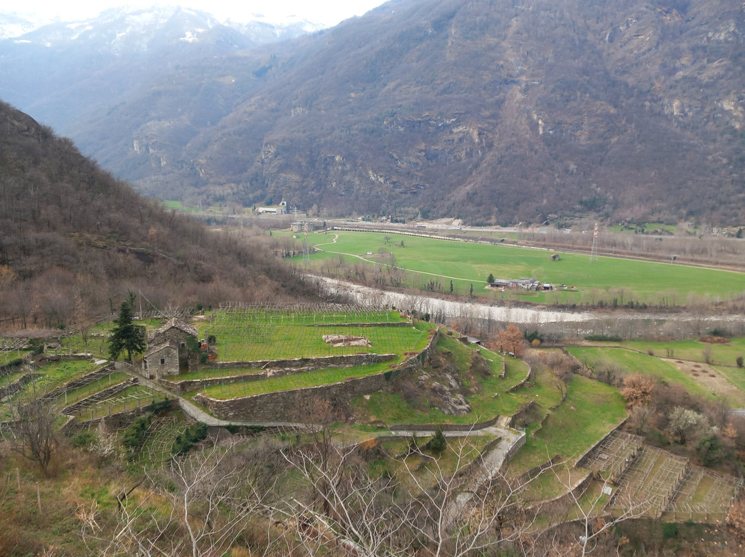 Sentiero dei Vigneti di Carema景点图片