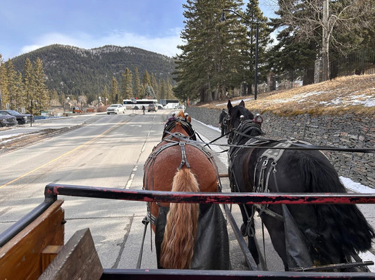 Banff Trail Riders-班夫必去景点