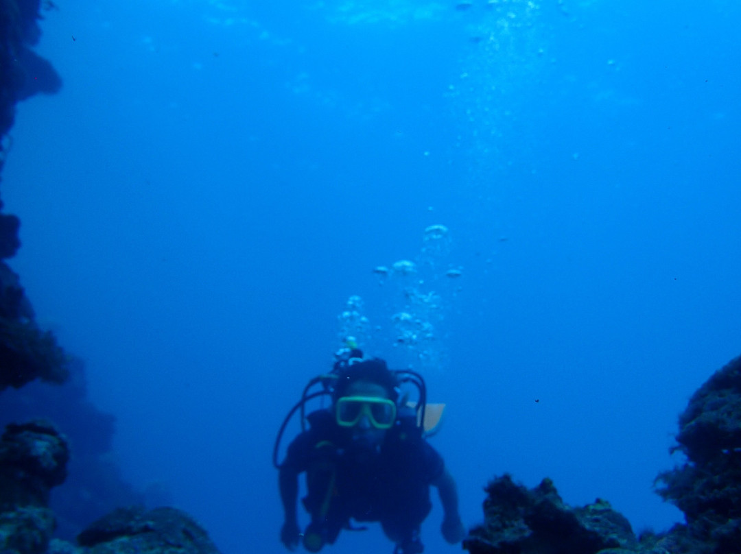 Green Dive-塔拉瓦环礁必去景点