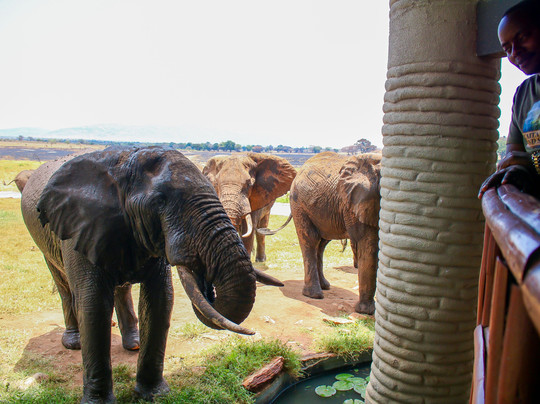 Lumo Community Wildlife Conservancy-Mwatate必去景点