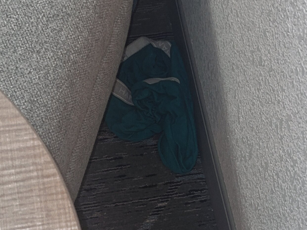 Holiday Inn Express & Suites Orangeburg By IHG主图