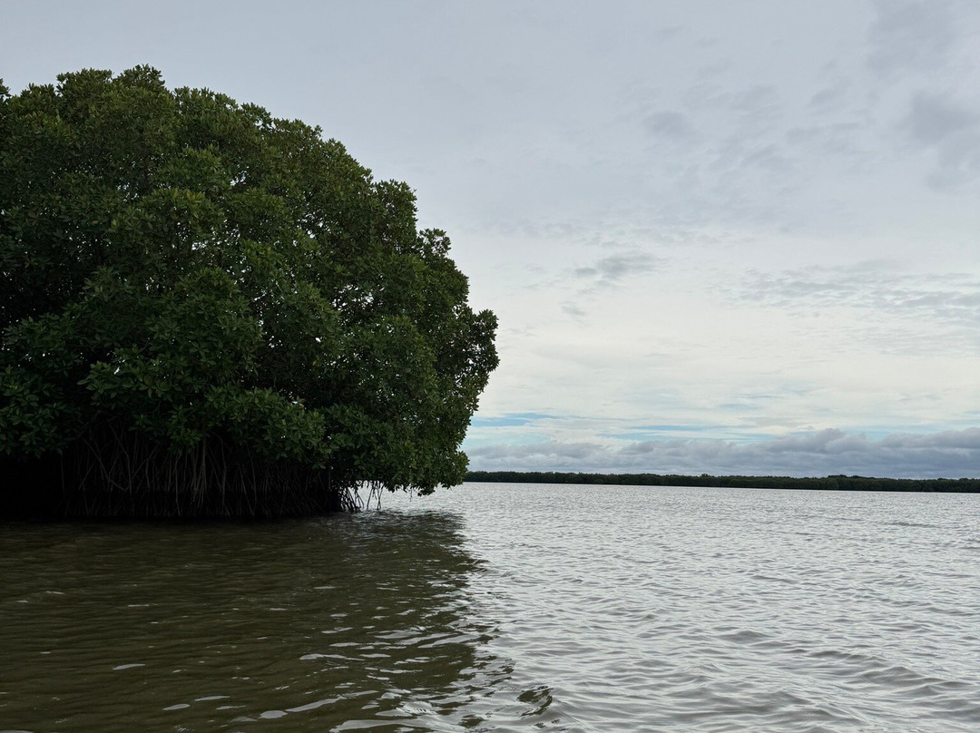 Kayak journey景点图片