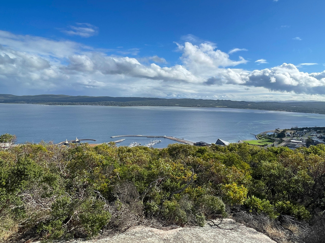 Padre White Lookout-奥尔巴尼必去景点