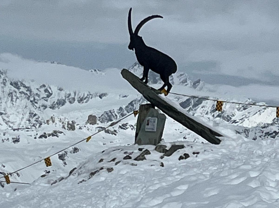 Rifugio L'Aroula主图