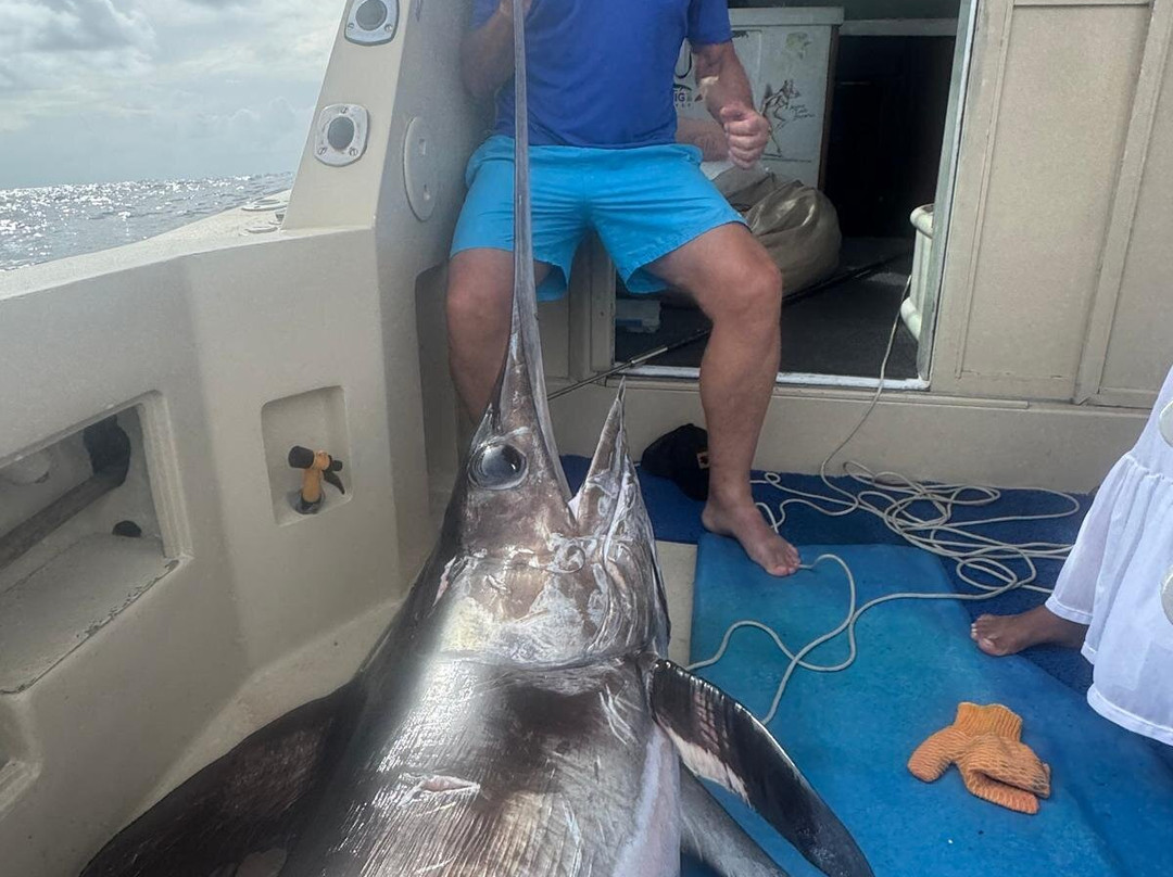 Majestic Marlin Brazil-Canavieiras必去景点