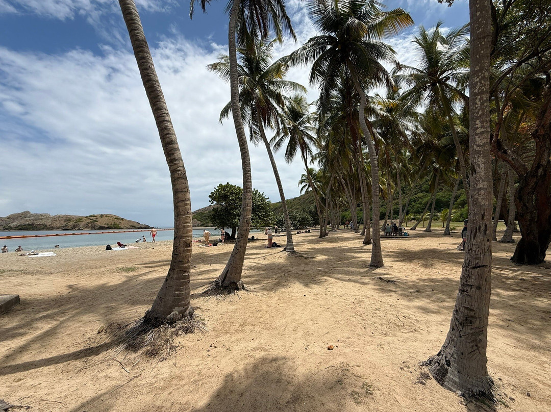 Plage de Pompierre景点图片