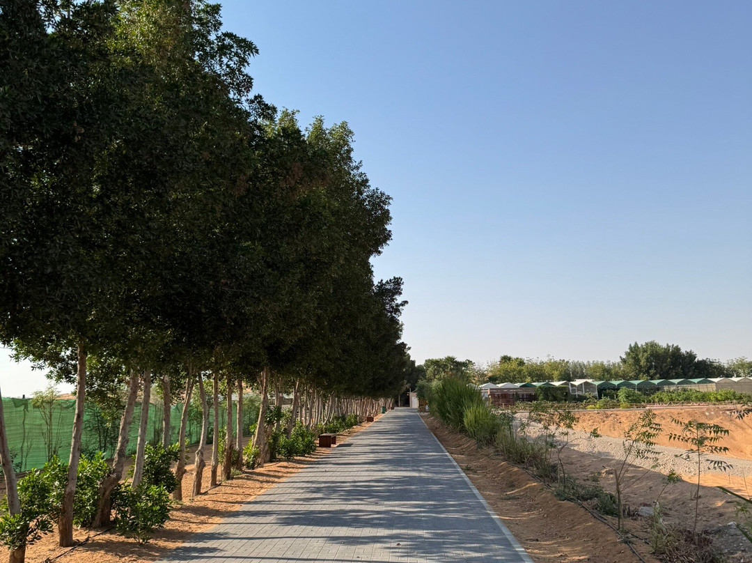 Emirates Bio Farm-阿布扎比酋长国必去景点