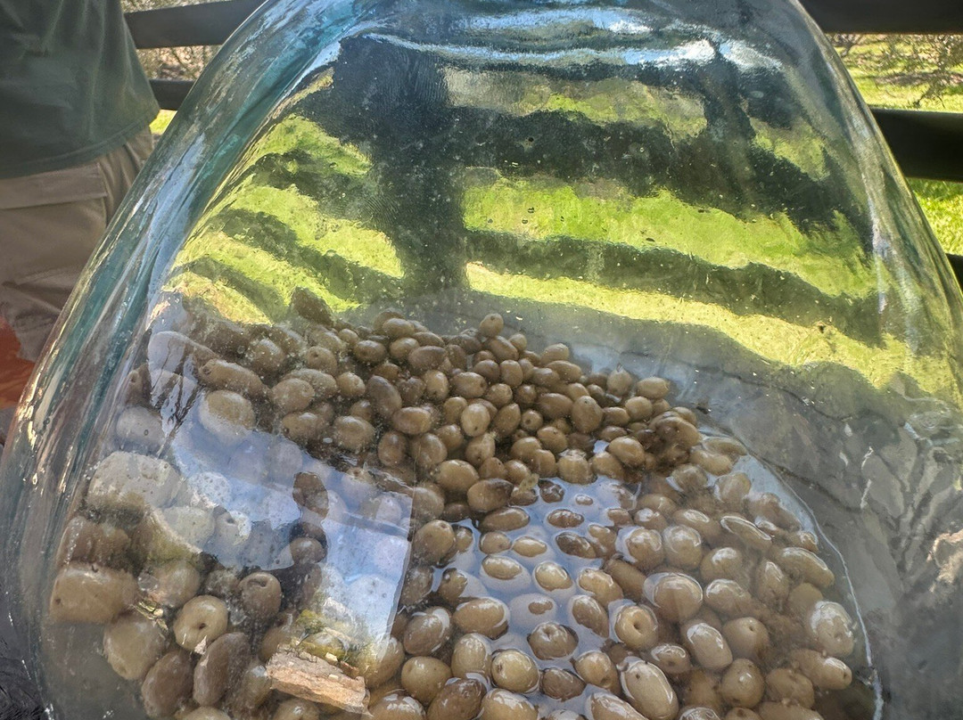 Huerto Olivanto-莱瓦镇必去景点