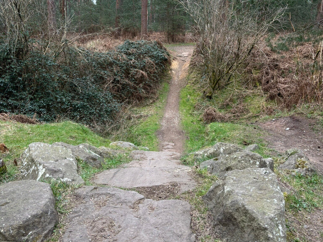 High Lodge Thetford Forest-Brandon必去景点