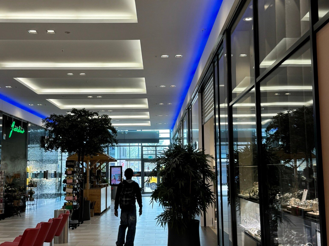 Neutor Galerie-丁斯拉肯必去景点