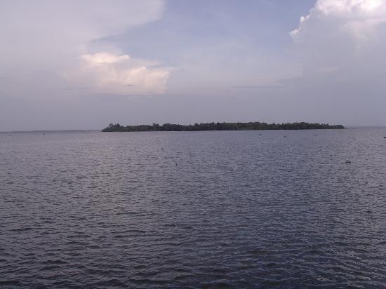 Grand Nirvana Lake Resort-泳池