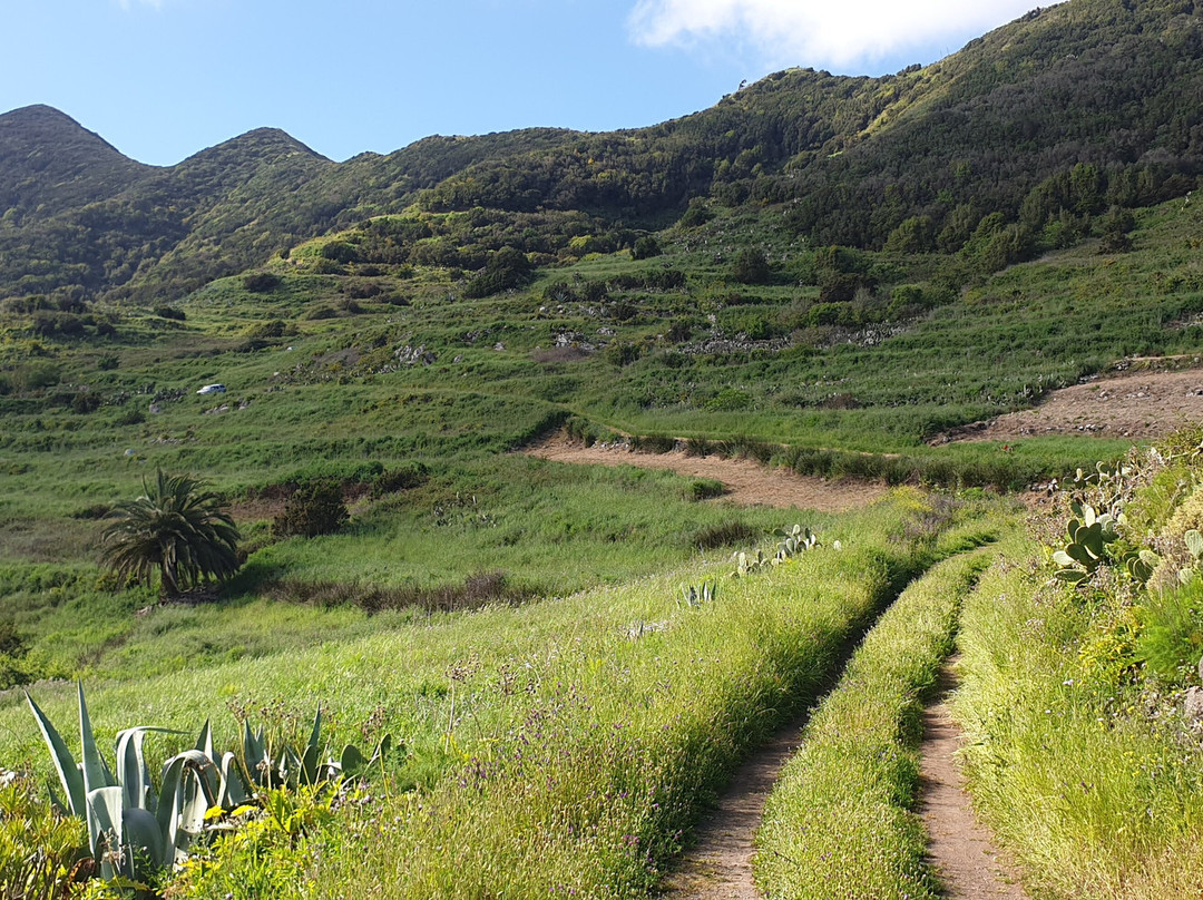 Sergio Walking Tours-特纳里夫必去景点