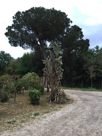 卡萨利圣布里农庄酒店-浴室