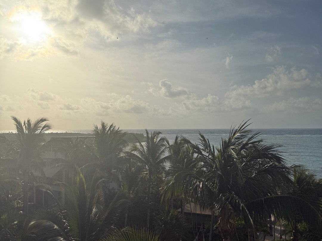 Jashita Hotel Tulum主图