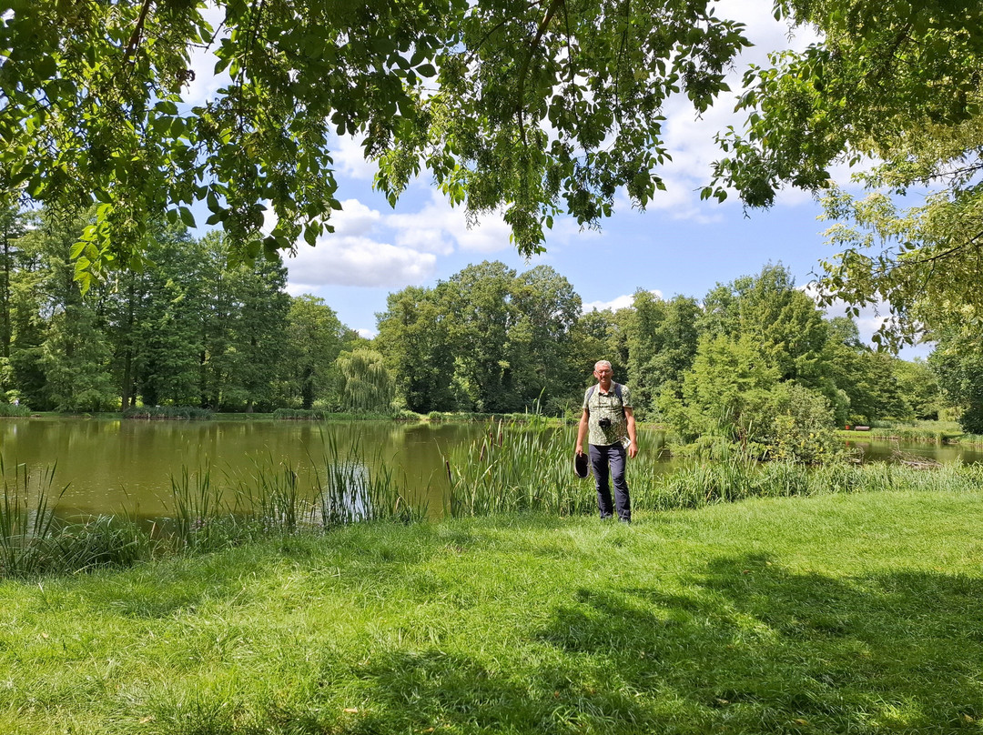 Arboretum Kórnickie景点图片