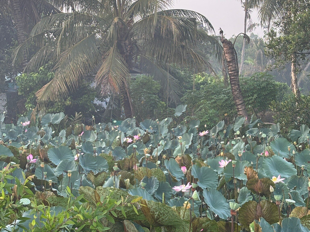Halong Bay Tour-河内必去景点