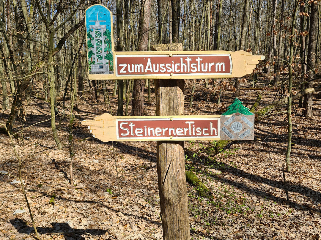 Aussichtsturm Rauener Berge-Rauen必去景点