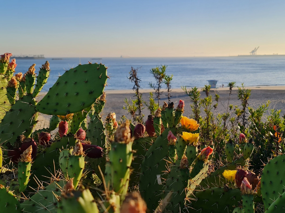长滩海滨-长滩必去景点