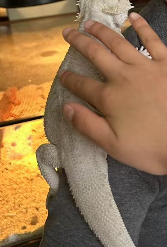 Haitan Ancient City Scenic Area-平潭县必去景点