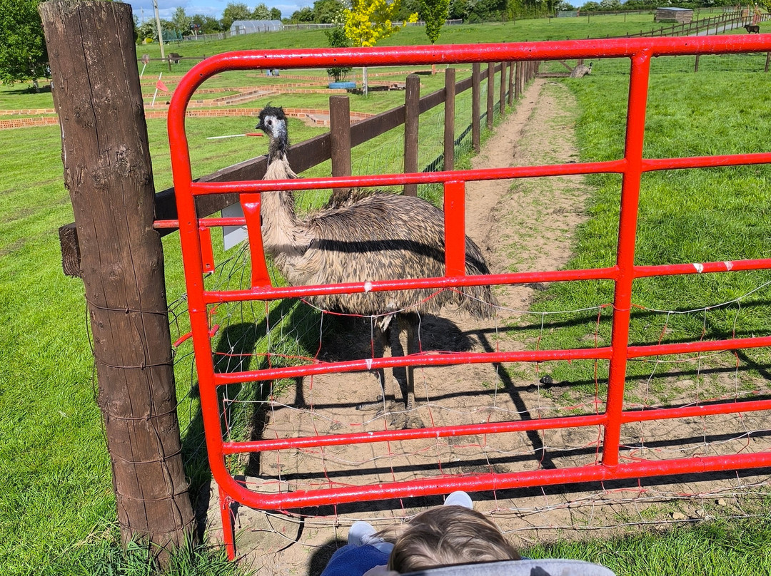 Castleview Open Farm-Cullahill必去景点