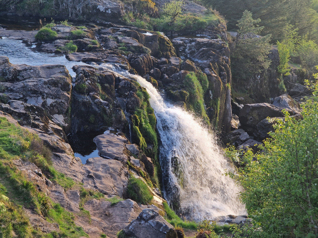 Loup of Fintry-Fintry必去景点