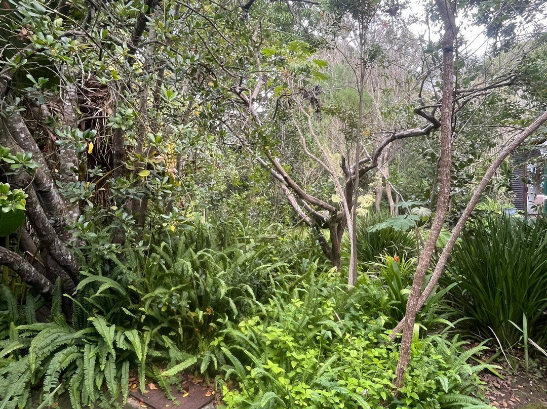 Four Fields Farm主图