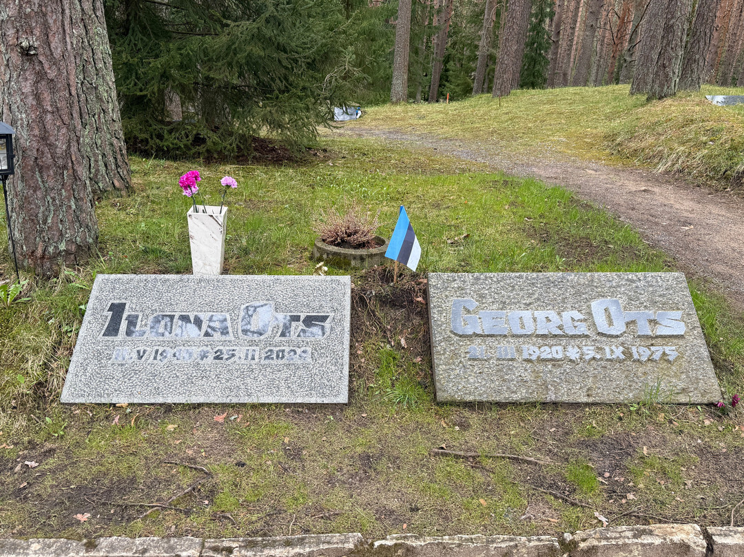 Metsakalmistu Cemetery-塔林必去景点