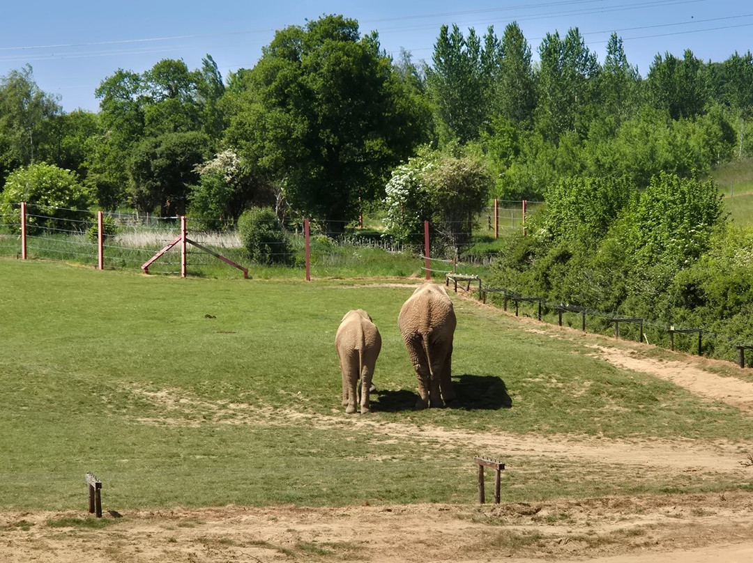 Noah's Ark Zoo Farm景点图片