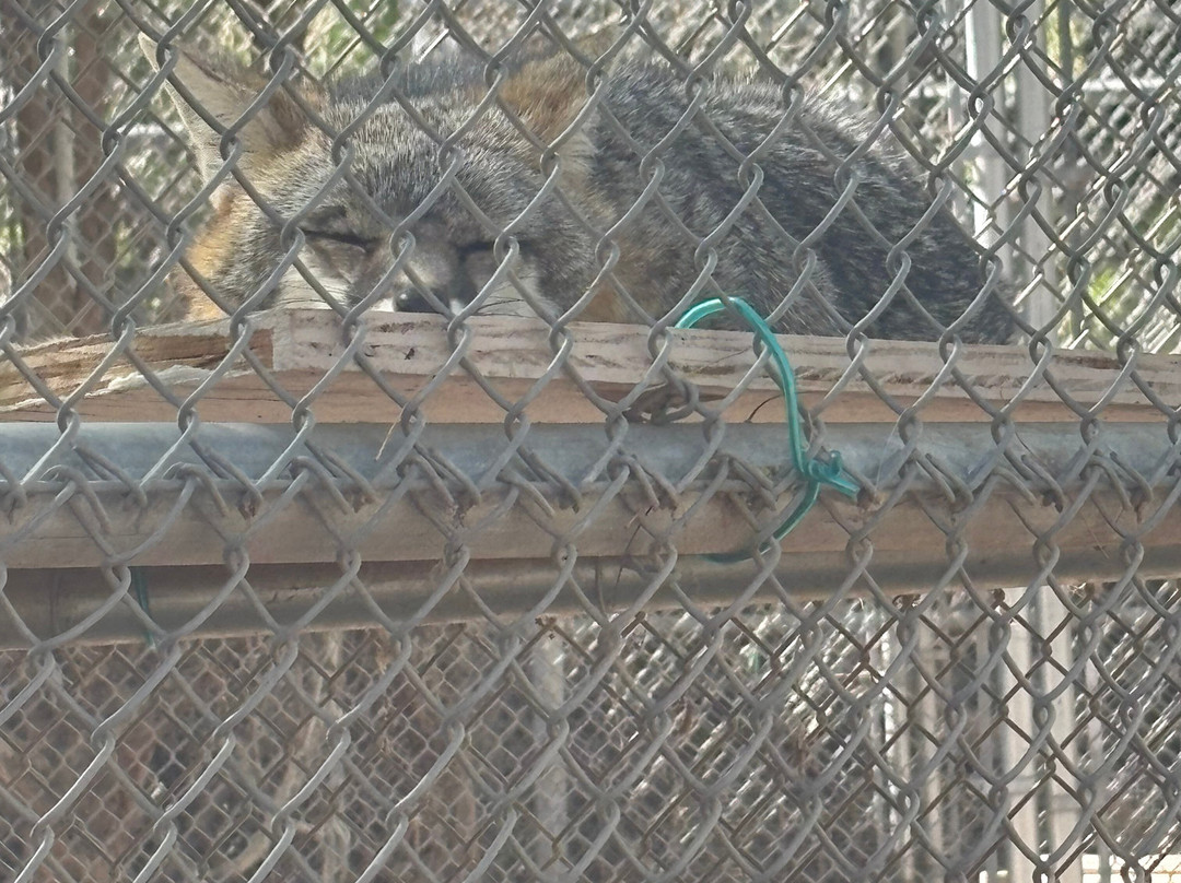 Southwest Wildlife Conservation Center景点图片