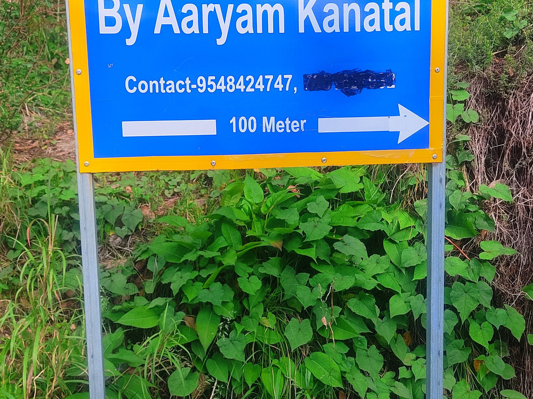 The Woods by Aaryam主图