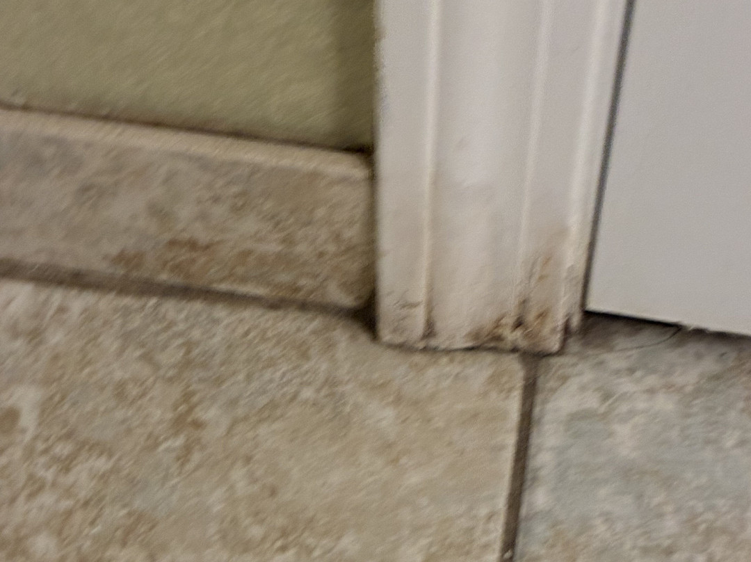 怀特河套房酒店主图